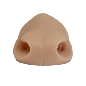 NOSES